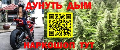 МДПВ Донецк