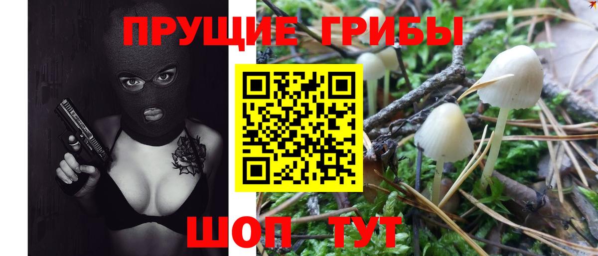 Минусинск  Галлюциногенные грибы GOLDEN TEACHER  Вход с VPN 